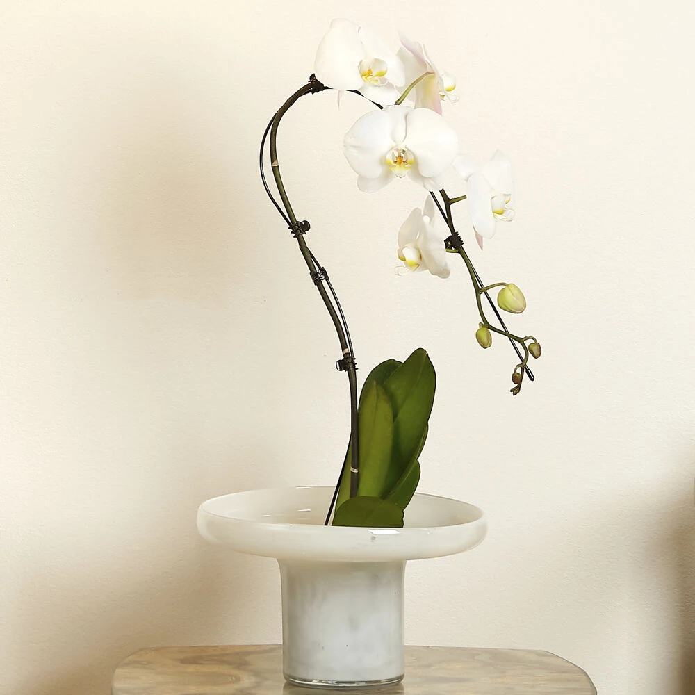 Bloom 9.5 X 7 Inch Vessels, Set Of 3 - Image 8