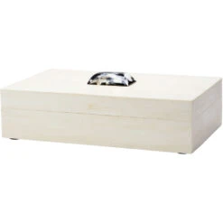 Constantine 12 X 7 Inch Cream Resin W/ Horn Accent Large Rectangle Box